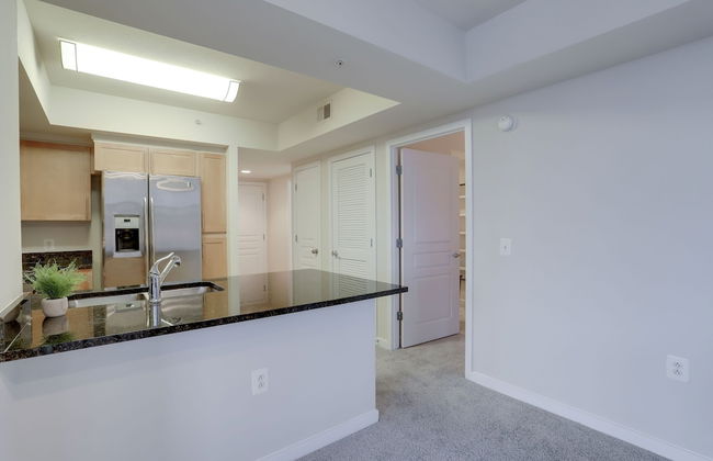 Nice 2BR Condo at Pentagon City - Photo 21