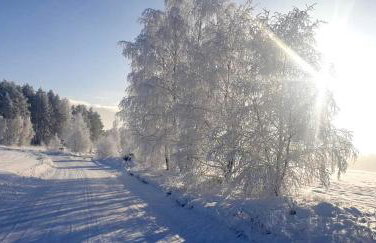 Ostoja Bukowo 12,2 chata u szôłtësa - Foto 32
