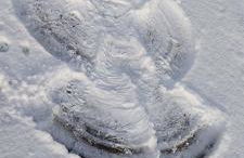 Ferienwohnung Gentsch in Schmannewitz - Foto 58