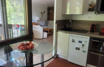 Grand studio près Lac Gaillands - Photo 7