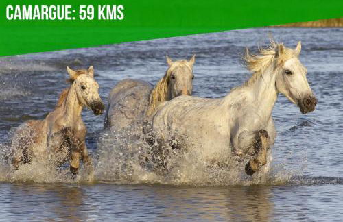 Loft Saint Roch - Spacieux - parking Gratuit - Photo 41