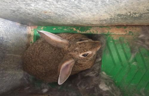 romantic house for 2 or 4 people with jacuzzi - Foto 16