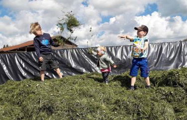 Veiter-Hof - Foto 24