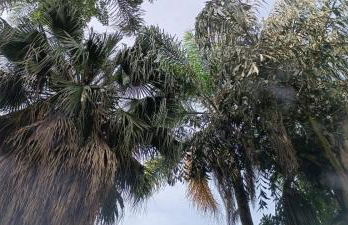 Casa na praia com quintal amplo e piscina - Foto 13