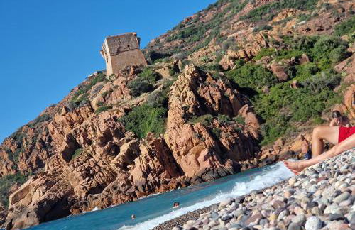 T2 vue mer & montagne Golfe de Porto-Ota - Foto 42