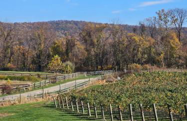 Vinewood Estate & Adventures - Foto 19