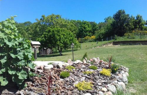 Pod Gruszą - Foto 11