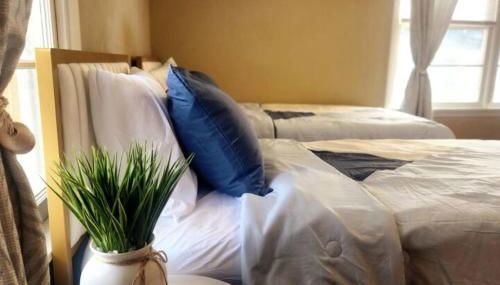 A Rare find - Bright, Warm, Charming Central Austin Home - Photo 2