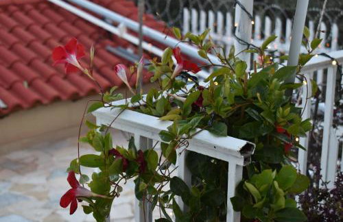 Panorama Γλυκά Νερά - Athens - Foto 9