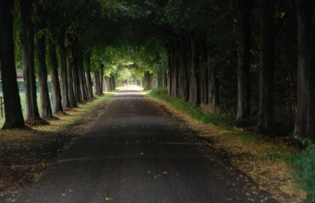 Cottage Near Bourtange With Hot Tub - Foto 31