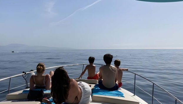 Dolphin Spotting in Marbella - Foto 3