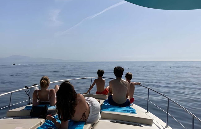 Avistamiento de delfines en la costa de Marbella - Foto 3