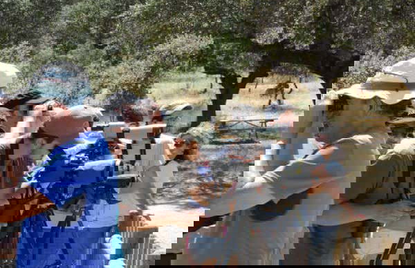 Observation d'oiseaux en Estrémadure - Photo 10