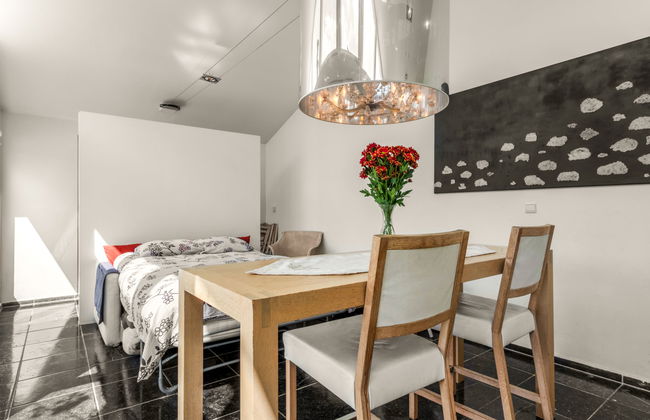 1 bedroom House in Zaamslag with garden and terrace - Photo 10