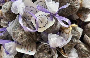 Casa laggiù - Foto 56