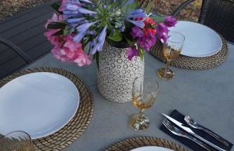 Appartement Pinede Man Yelle - Foto 25