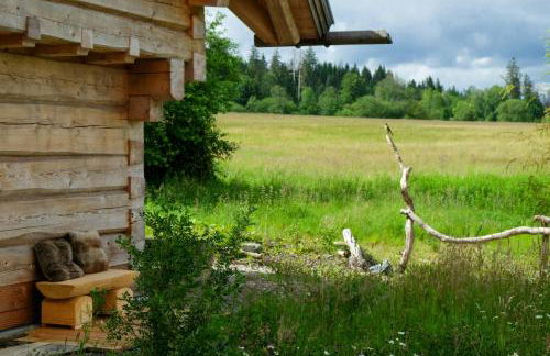 Log Cabin With Sauna In The Upper Harz Mountains - Foto 24