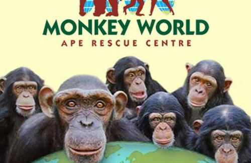 Tolpuddle Hideaway, Tolpuddle, Dorset - Photo 18