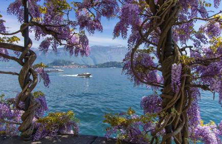 Villa Serena - Foto 33