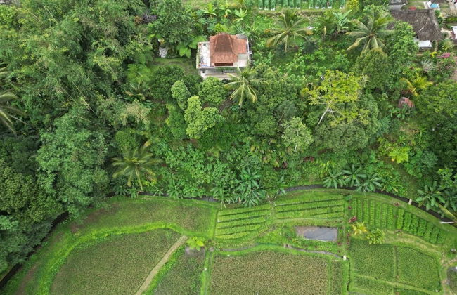 Yas Rumah Kita - Foto 14