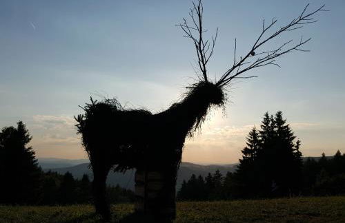 Ferienhaus Am Kirchberg - Foto 28