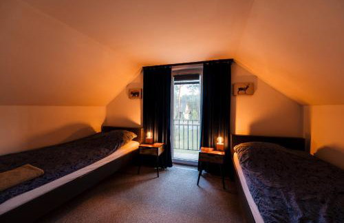 Kajaki wino i śpiew - domek z sauną w otoczeniu lasów i sąsiedztwie zalewu - Foto 52