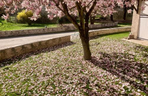 Logement type 2 dans un parc verdoyant - Foto 6