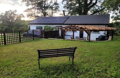 Little Apples - Foto 3