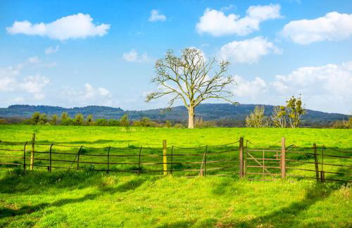 Tibberton Court Apartment - Uk48582 - Foto 30