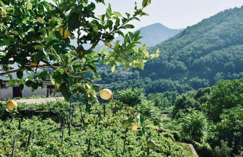 Campinola Holiday Home PRIVATE POOL - Foto 6