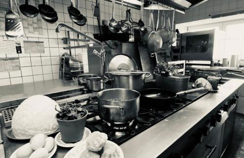 Berg-Panorama-Ferienwohnungen Gut-Lichtenau - Foto 49