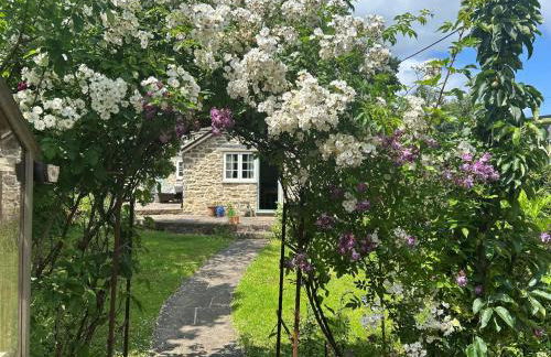 Dovehayes Cottage - Foto 24