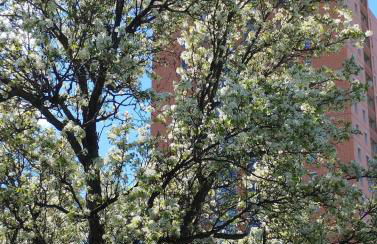 Torre Sole Fiumara - Foto 30