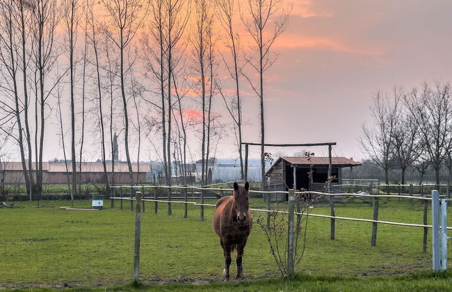 Agriturismo Al Botteniga - Foto 17