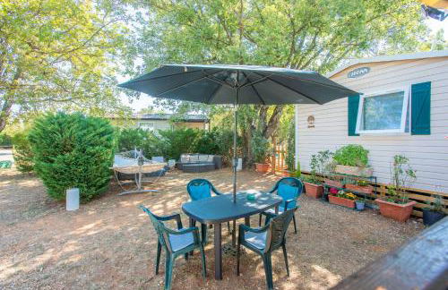 Salamandre - Foto 16