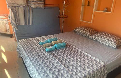 Lindo Nascer do Sol - Photo 14