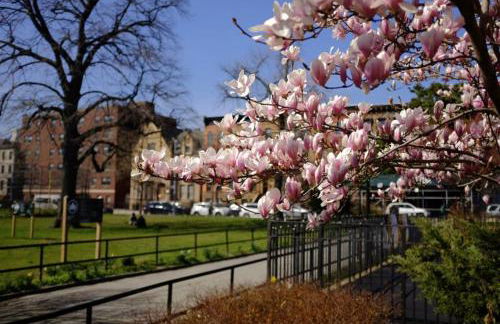 Relax and unwind at this Chic Bed-Stuy Brownstone - Foto 36