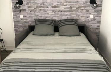 Bel appartement T2 refait à neuf avec piscine couverte de juin à fin septembre, près des stations de ski avec navette et draps et serviettes compris - Foto 4