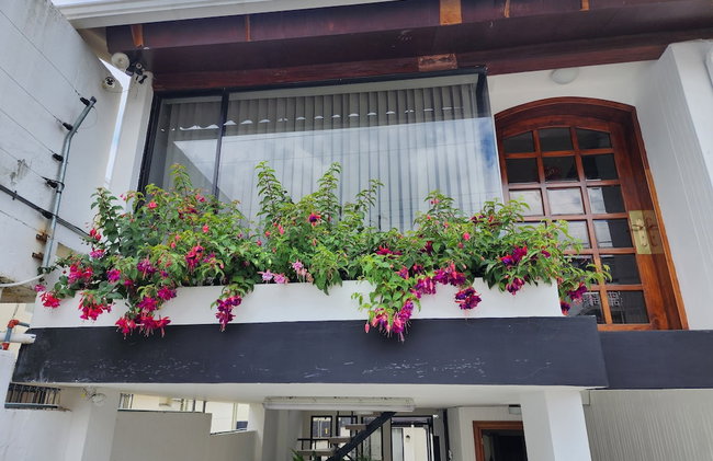 Altamira Apartsuites - Foto 45