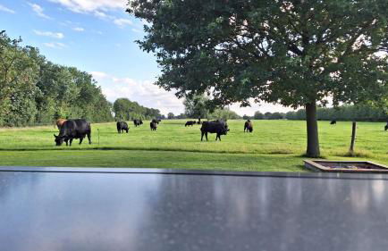 Ferienhaus Storch - Foto 8