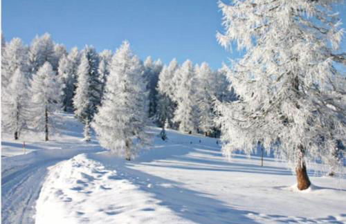 Landhaus Friedl - Foto 39