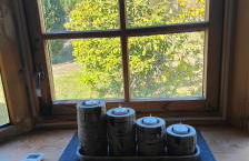 Ferienhaus Im Wäldchen in See Nähe - Photo 21