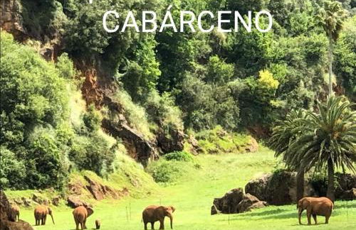 Dulce hogar - Foto 20