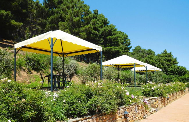 Estate in Monte Serra With Pool & Olive Views - Foto 21