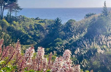 Royal Villa - Ocean View - Heated Pools - SEASCAPE'S BEST 1 BEDROOM - 3 BEDS - End Unit - Foto 40