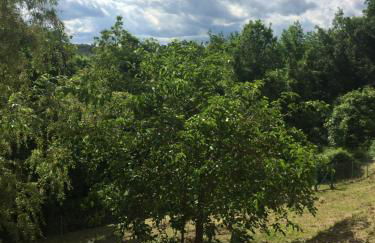 Villa Romolina - Foto 21