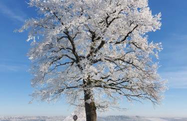 Premium Vulkaneifel Chalet - Foto 24