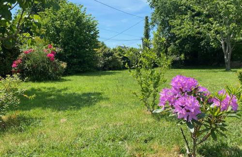 Terre d'ajoncs - Foto 6