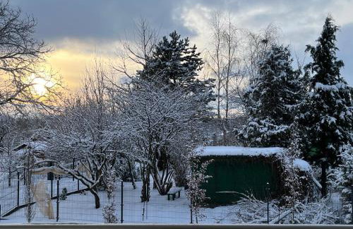 Prestige 1 - Foto 20