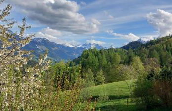 Bauernhof Vorderstiedler - Foto 37